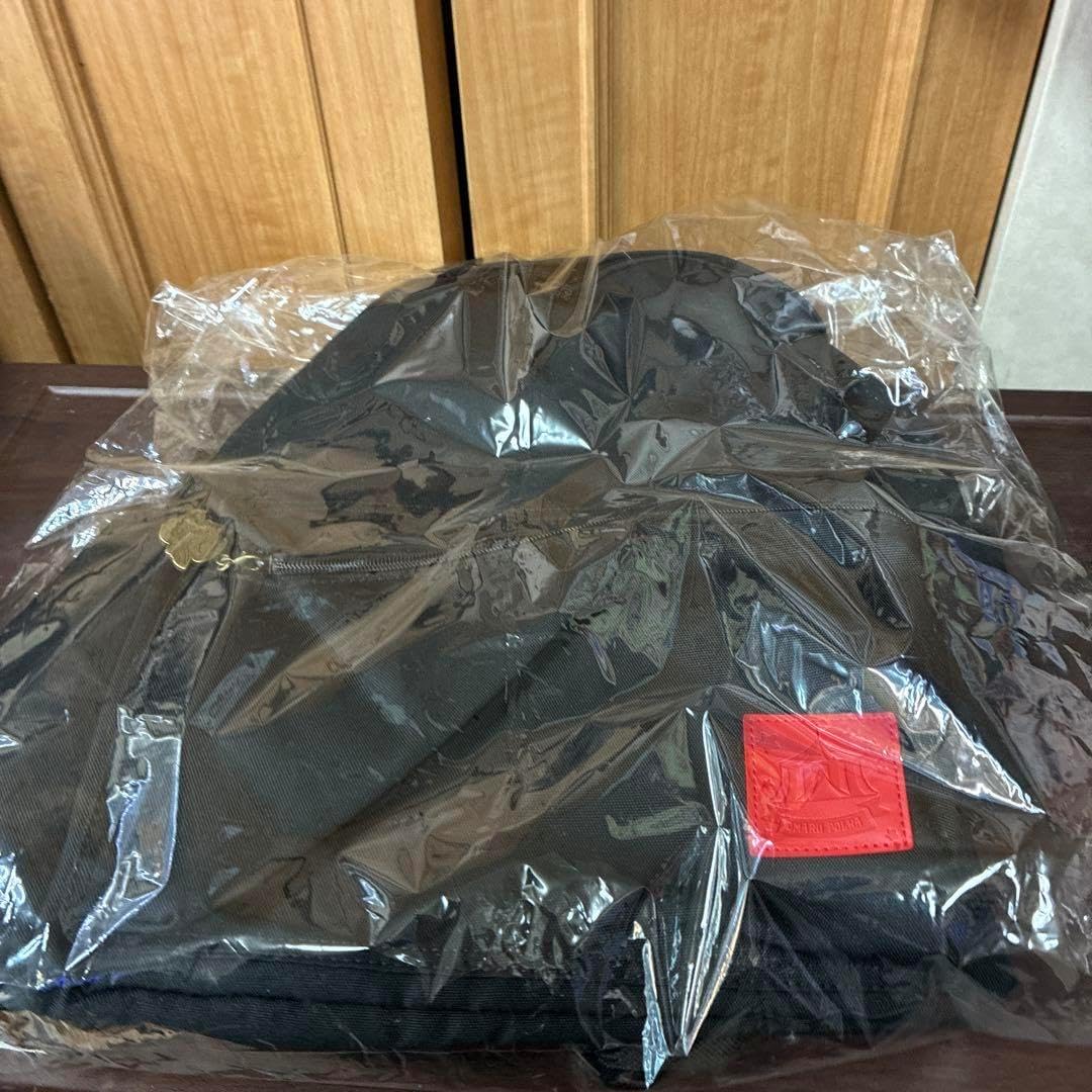 フリル移動ポケット☆ハンドメイド☆女の子☆オーダー受付中 入学準備